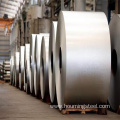 Hot dip Galvanized Steel Coil